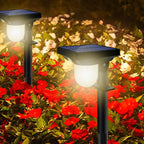 Solar Wall Light – Outdoor Waterproof Motion Sensor